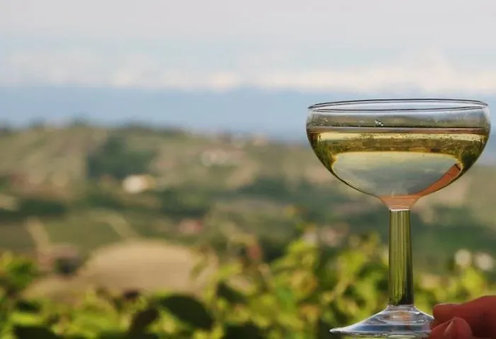 Brusalino مزرعة للإقامة Mango